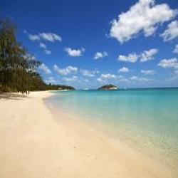 Need a Vacation?  Follow us for savings offers and contests!