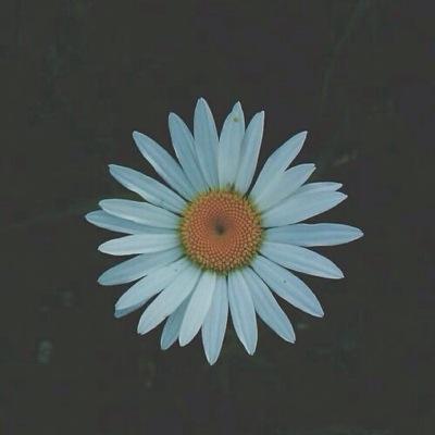 DM me for advice for any problem and if you have any advice for others, DM that too and I'll definitely tweet it❤️