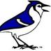 Loveland Blue Jays (@lovelandjays) Twitter profile photo