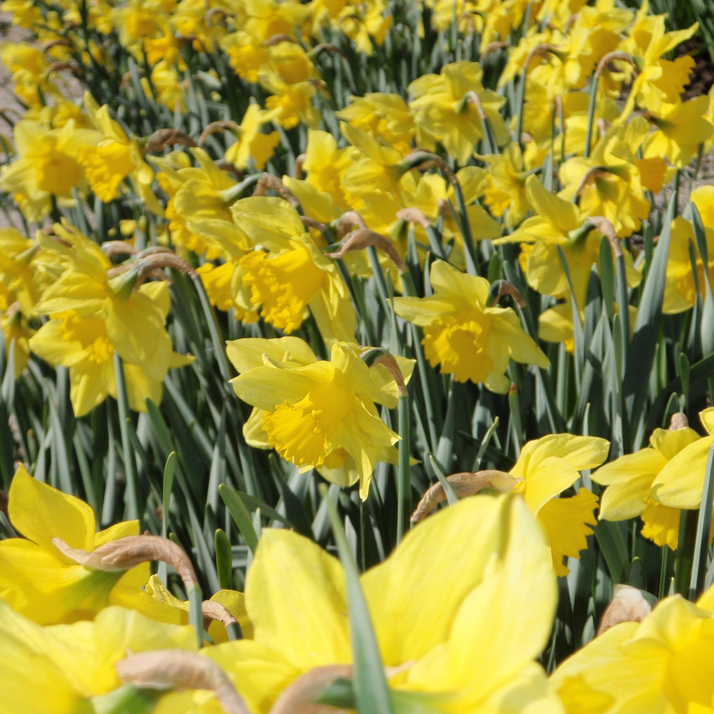 REW_hoff's profile picture. 