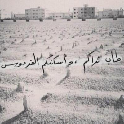 alrwad536 Profile Picture