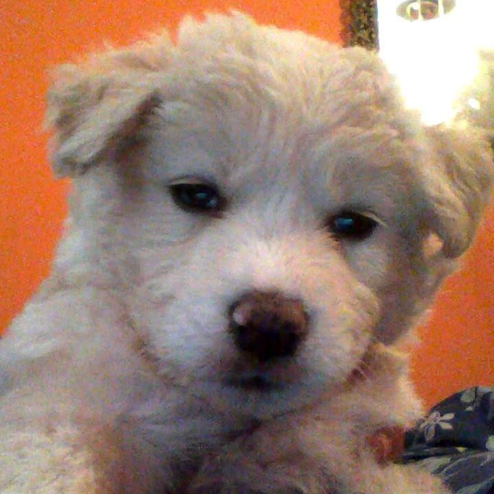 carmencarola123's profile picture. 