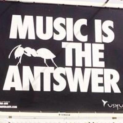 PalmeroRo's profile picture. 