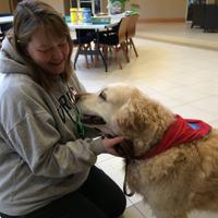 Kim Sigle (@lakeannelibrary) 's Twitter Profile