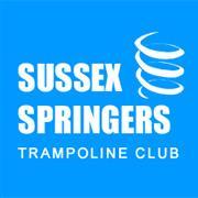 sussexspringers's profile picture. 