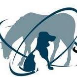 Committed to your veterinary care needs