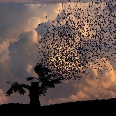 foundyourself0's profile picture. El dinero, la fama, el reconocimiento y la felicidad pertenecen a todo aquel que esté preparado y decidido a obtener esos beneficios.