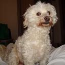 Tanner Watson - @Dkexpat4hireMc - Twitter