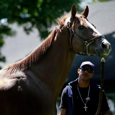 Calichromelove's profile picture. 