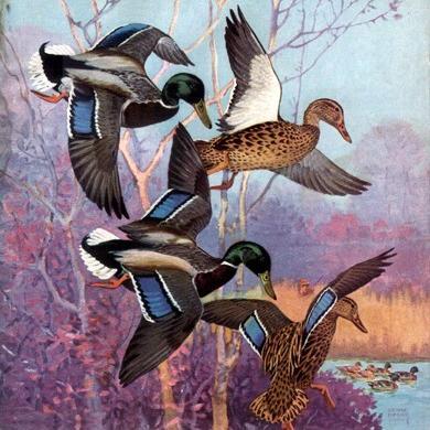 5Thomasdanel's profile picture. 