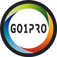 go1Pro is a social network directed at capturing a sport related market segment, started in South Africa.