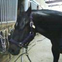 Crystal Anthony - @c_anthony04 - Twitter