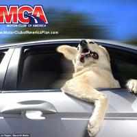 MotorClubAmericaPlan (@mymcaplan) 's Twitter Profile