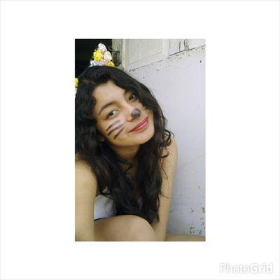 siganme en twiter