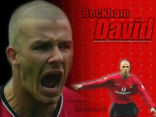 tinote's profile picture. 