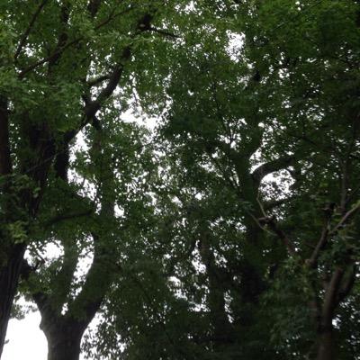 音楽と漫画(tns.jojo)とアーティストの情報チェックする垢なので三次元の方との交流はしませんえん。 けど、フォローされたら面白い人だったらフォロ返すぽよぽよ。話しかけはしないけどね。そゆことで！