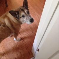 Ben Stimart (@huskerben1) 's Twitter Profile Photo