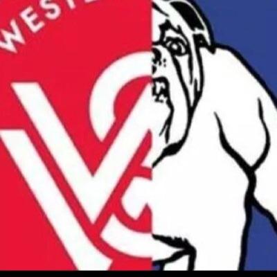 West syd wanderers.canterbury bankstown bulldogs.