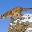 Amanda Earley - @Uanick993EU - Twitter