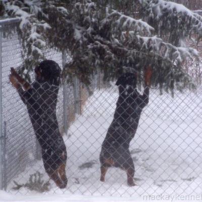 honeyBoo1979's profile picture. 