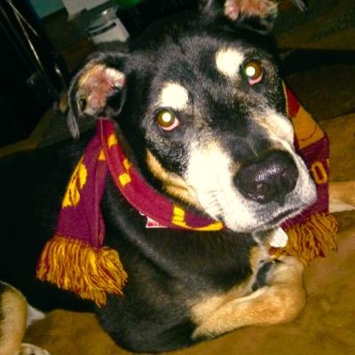 #DCTID, minority owner of 2 professional soccer teams, puppy wrangler. Smokey The Bot picture by Jon DeBoer