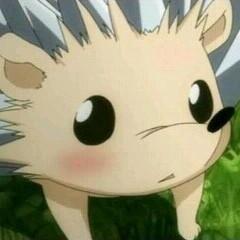 ロール Kumoharinezumi Twitter ロール Kumoharinezumi Twitter