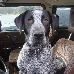 D6foxsweater7k's profile picture. Just an old cowhand, forever i'll be, across the green pastures, the sandhills are my home.