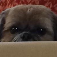 On Point (@mcclittle) 's Twitter Profile Photo