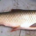 Spencer Goodwin - @h0RyGravvyrO - Twitter