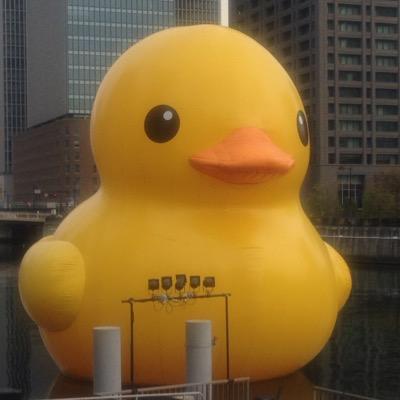 EIJさんのプロフィール画像