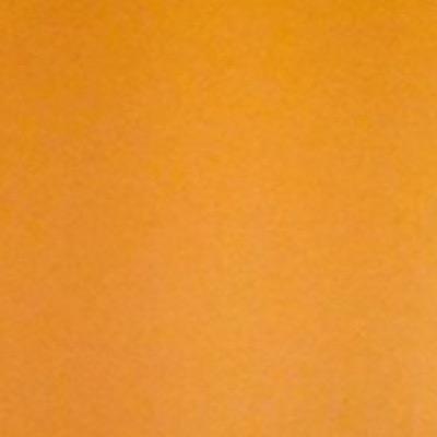 MaysAlec's profile picture. 