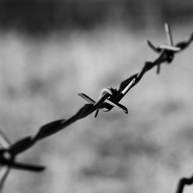 This page is dedicated to raising awareness and ending the sexual exploitation of unaccompanied minors seeking refugee status from beyond the border.