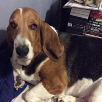 jimmysimon1985's profile picture. joined March 7 2015.