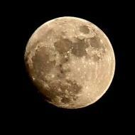 ka9bbq's profile picture. K9BBQ  Good on https://t.co/fYNHlUgqcI 
Yes I did capture this image of the moon and the Chicago skyline.
Enjoy cooking, time with family, Bourbon Cigars, Amateur radio