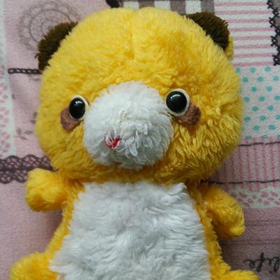 きりくん