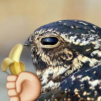 mvhsbananas's profile picture. DM us discreet pics of people eating bananas at MVHS If a picture of you is posted and you want it removed just ask