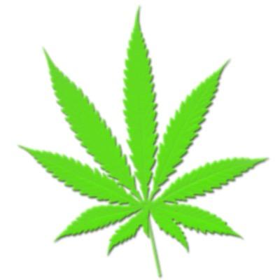 Bringing you up to date facts and random tweets about the finest of herbs. #Kush
