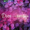 Dulce Baez - @kandycatt - Twitter