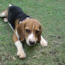 bert garcia - @dxspeed - Twitter