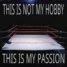 I'm a passionate pro wrestling fan! I watch WWE & AEW the most. I also watch TNA Wrestling, NJPW, ROH, SCW Pro, and other events!