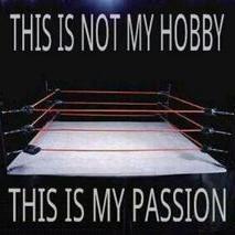 I'm a passionate pro wrestling fan! I watch WWE & AEW the most. I also watch HOH, Impact Wrestling, NJPW, ROH and other events!