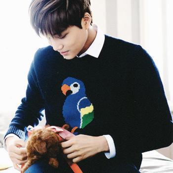 ✧ puppy jonggu ✧