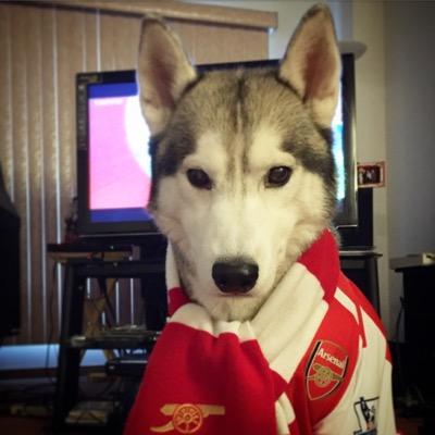 Homie_TT's profile picture. 