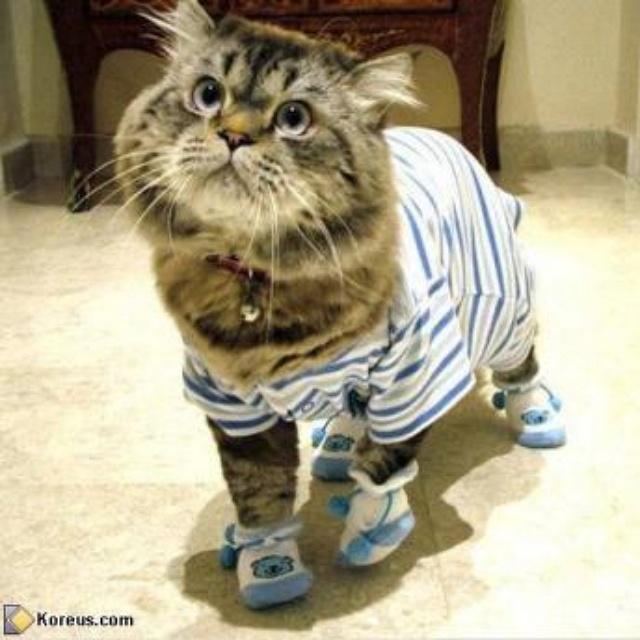 AnoukMab's profile picture. 