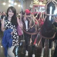 Deccy (@putripolri) 's Twitter Profile
