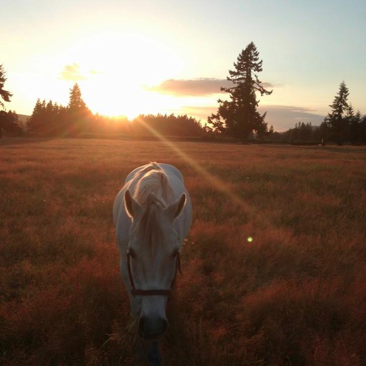 High school senior who decided to take a try at blogging about ponies, products, and getting through school (: