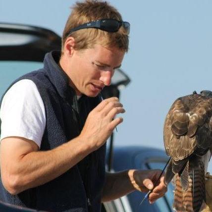 falconcentre1's profile picture. 