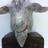 sculpturematter's profile image