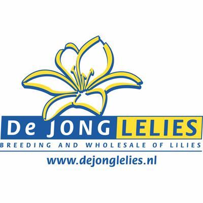 DeJongLelies's profile picture. Official Twitter of De Jong Lelies - Breeding and Wholesale of lilies.