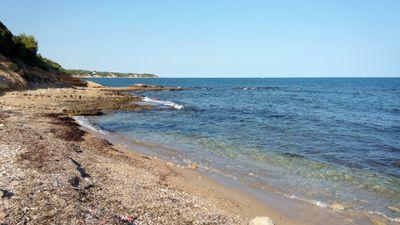 ebrecatsud's profile picture. 